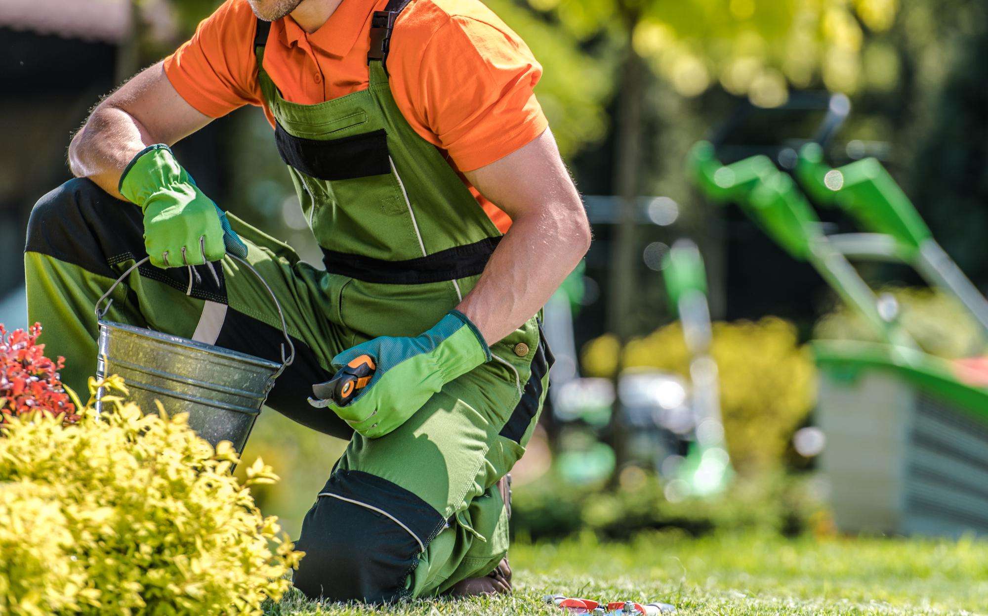 Residential landscaping project