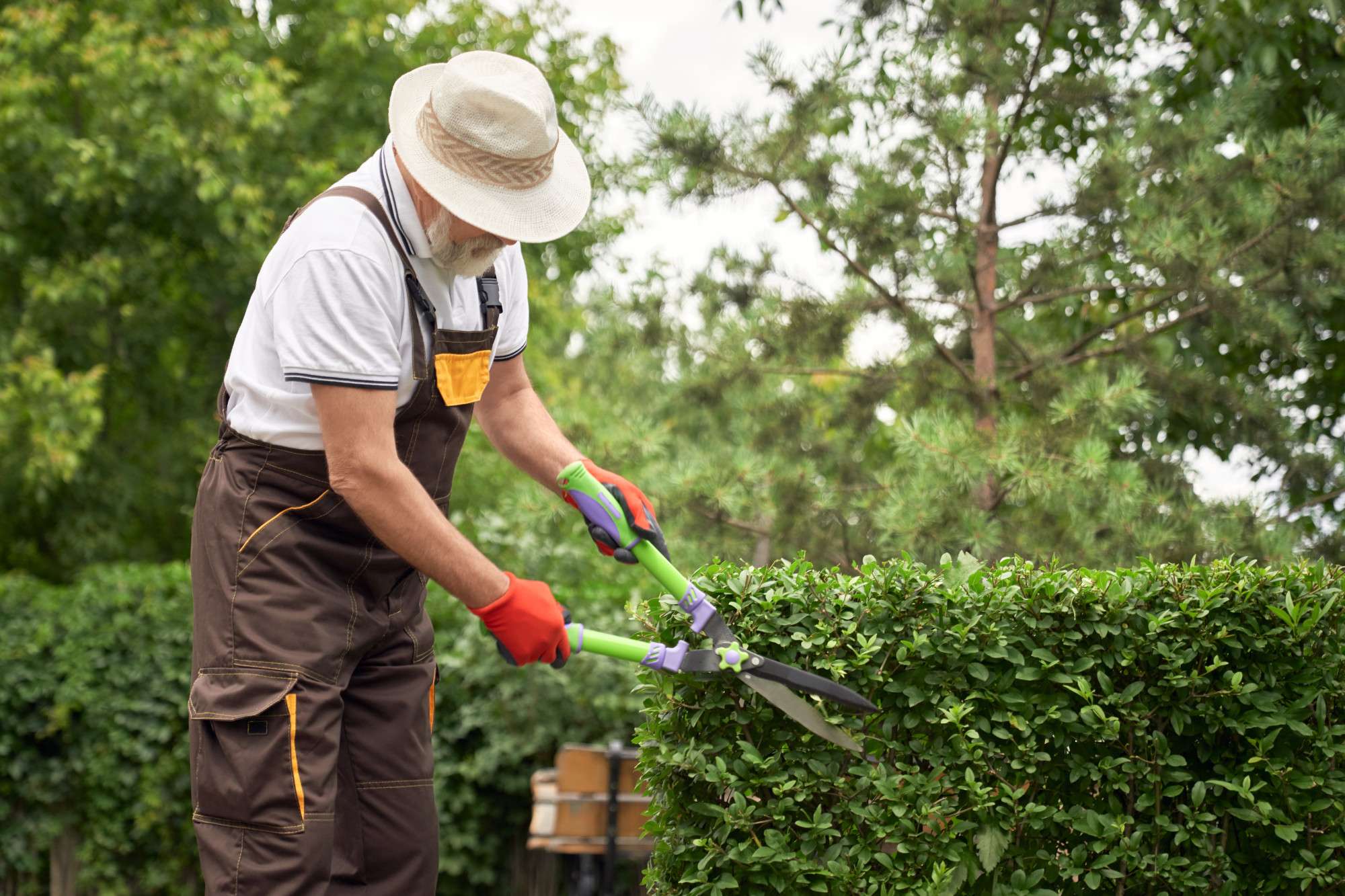 Garden renovation project