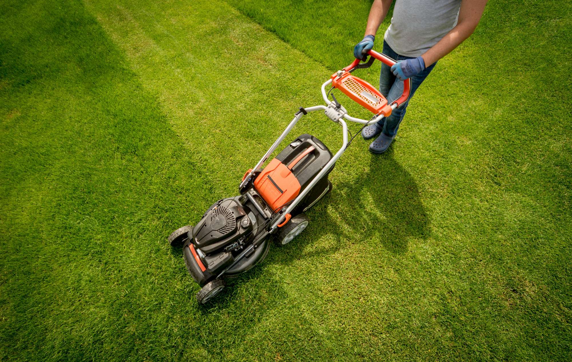 Fresh sod installation
