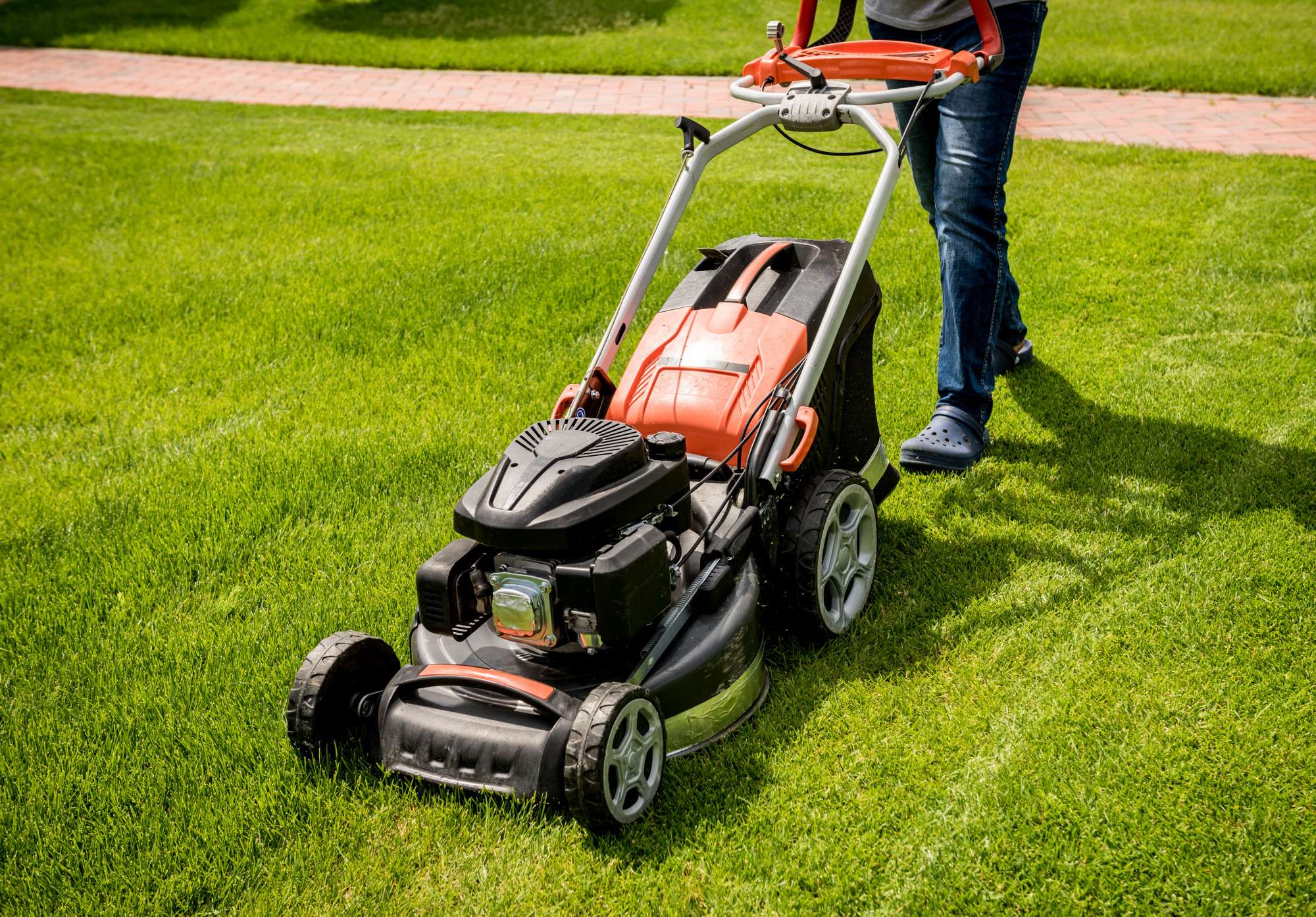 Professional landscaping team
