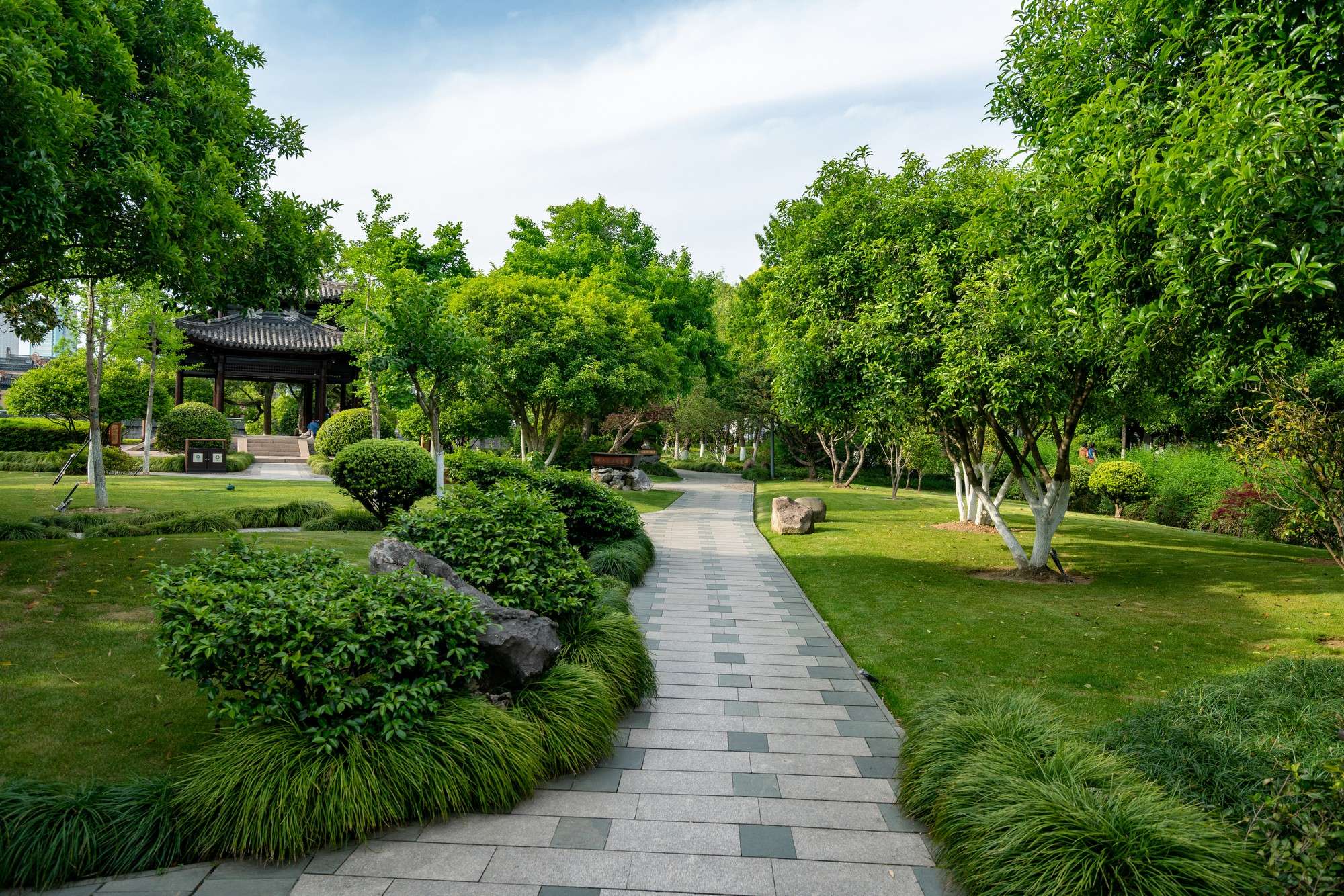 Landscaping professionals at work