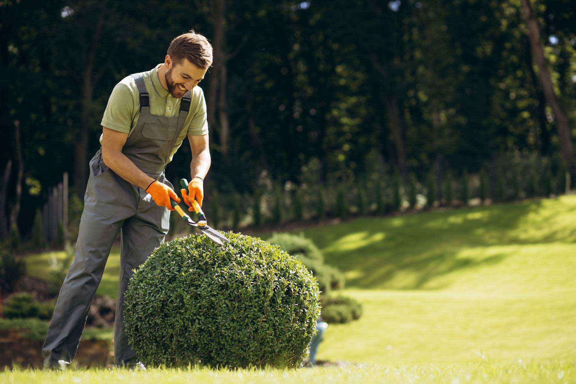 Landscaping
