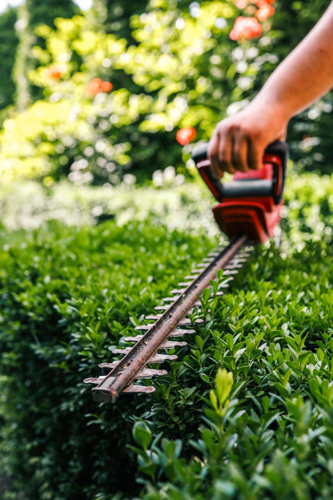 Garden Maintenance